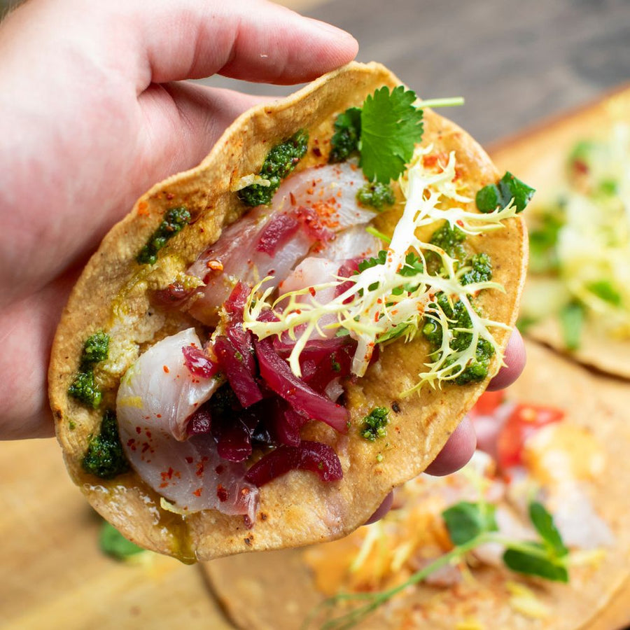 Hjemmelavet bløde tacos med ceviche af multe a la Oaxaca