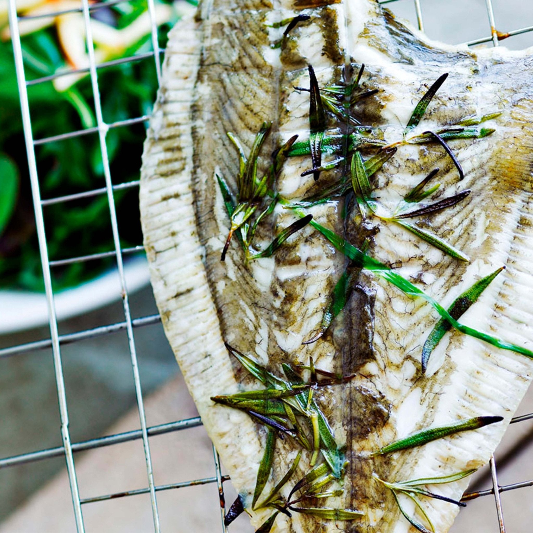 Grillet rødspætte - Kystfisken