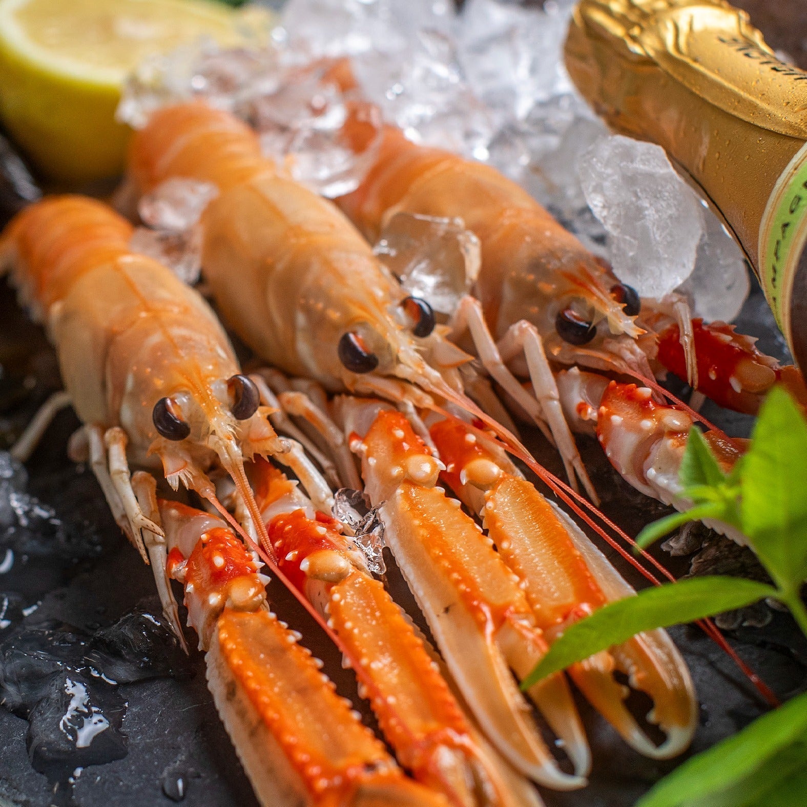 Jomfruhummertartar - Kystfisken