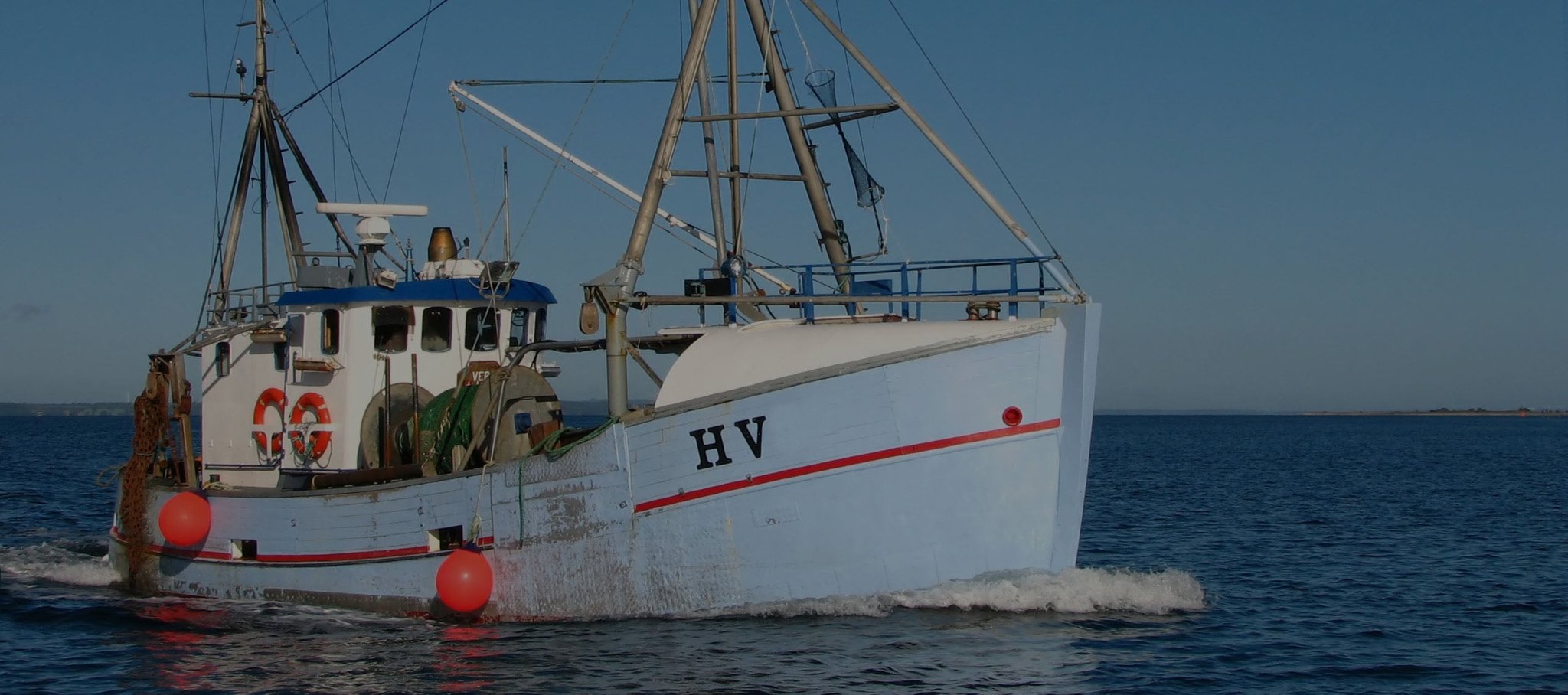 Trend: Tre ud af fire danskere vil spise mere fisk - Kystfisken