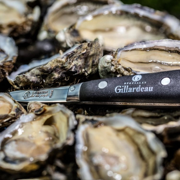 Gillardeau Østerskniv