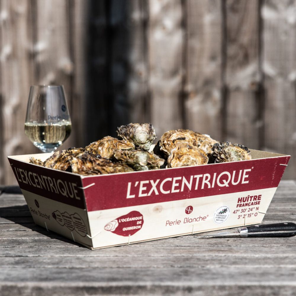 Perle Blanches østers (Nytår)