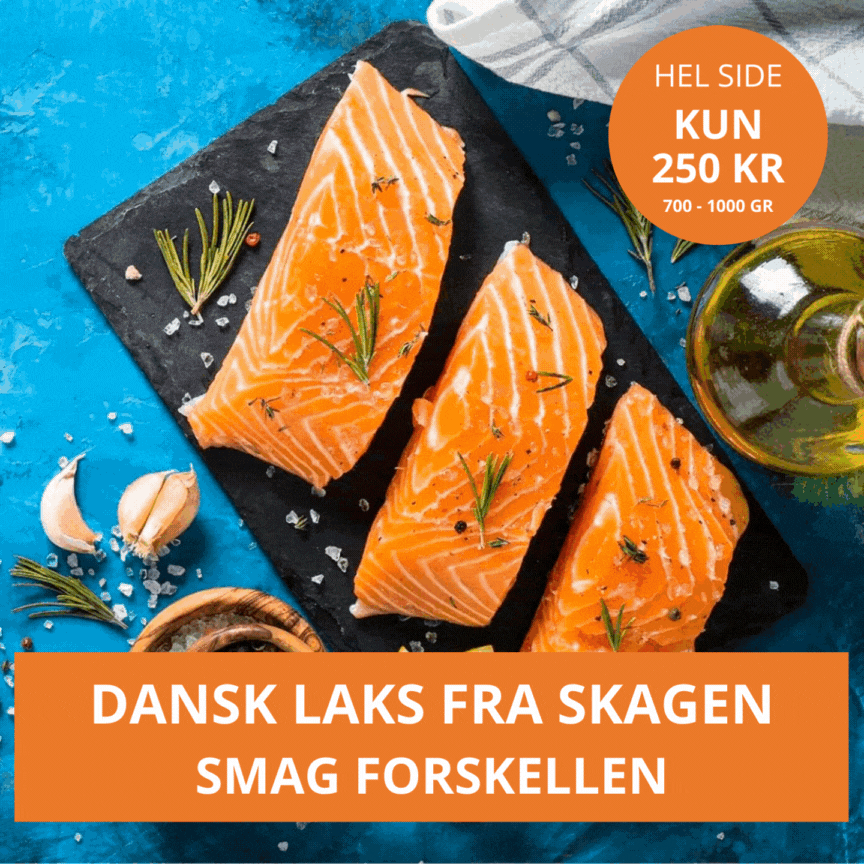Dansk Lakseside – Kystfisken Dansk Lakseside – Kystfisken