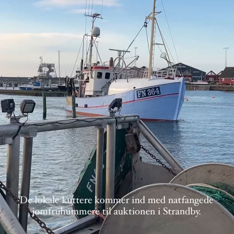 Friske jomfruhummere fra Strandby auktionen (Nytår)