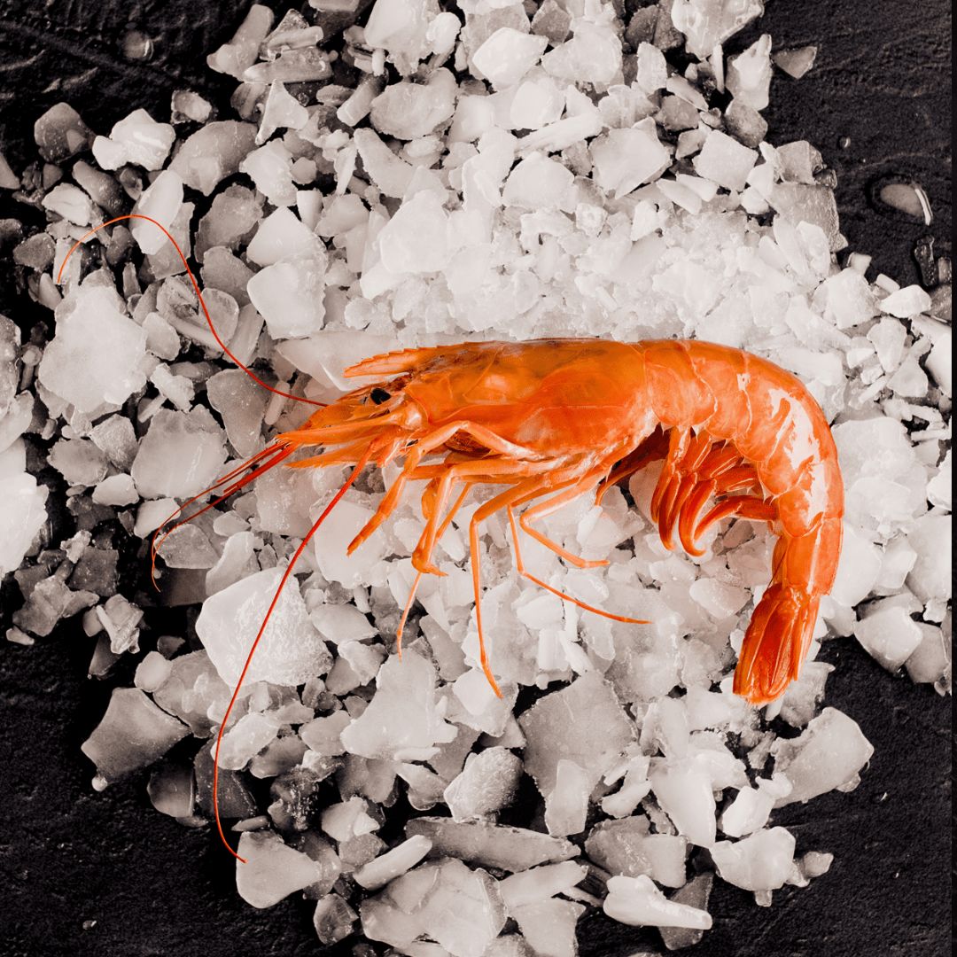 Kystfiskens Surf & Turf