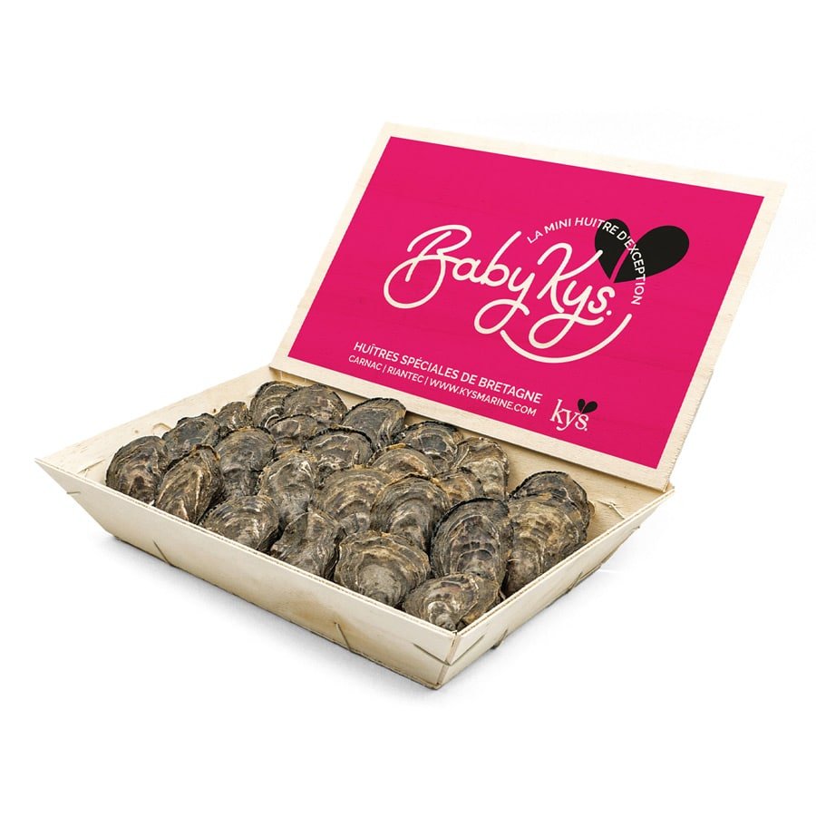 Baby Kys østers (Nytår) - Kystfisken