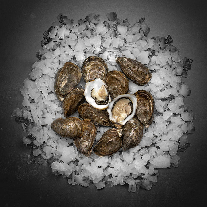 Baby Kys østers (Nytår) - Kystfisken