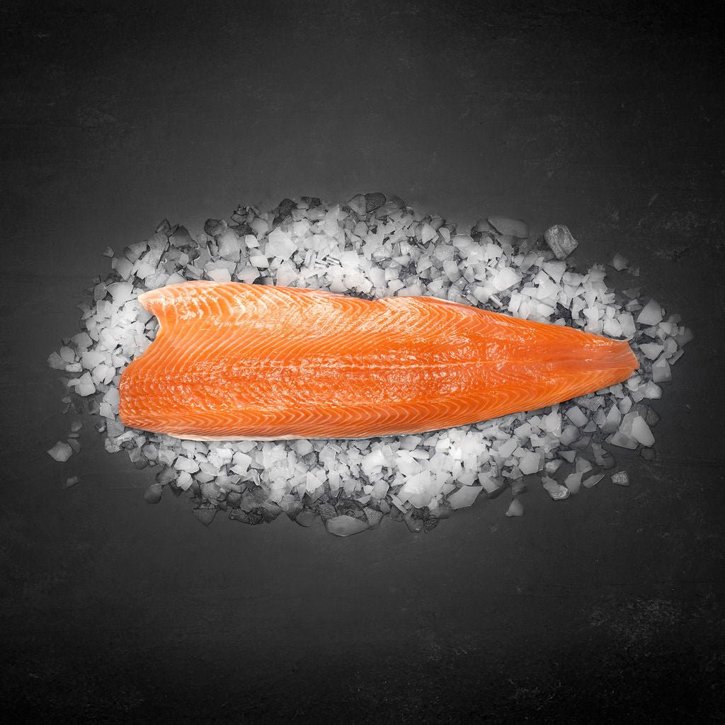 Dansk Lakseside 500 - 600 G. - Kystfisken