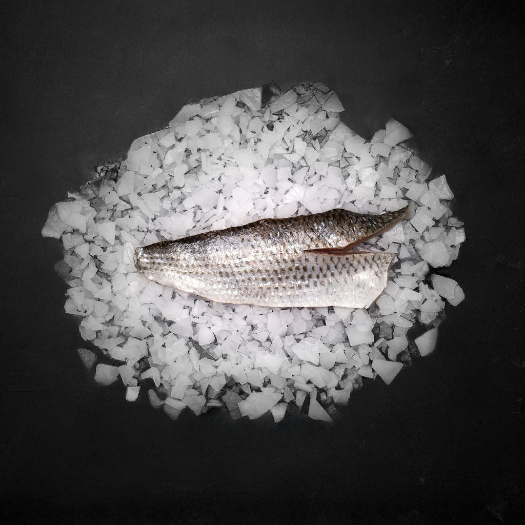 Dansk multefilet - Kystfisken