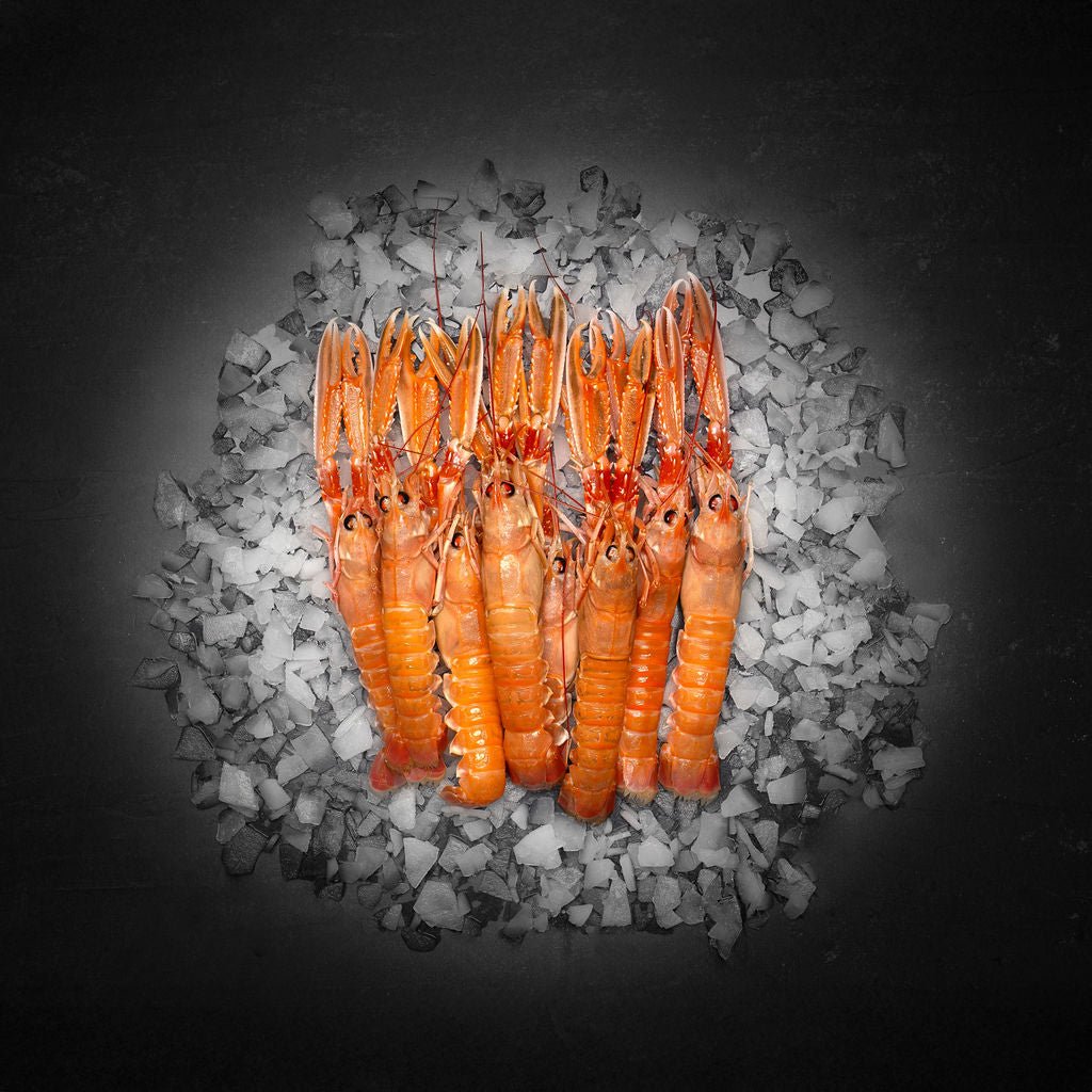 Danske jomfruhummere (Frost) - Kystfisken