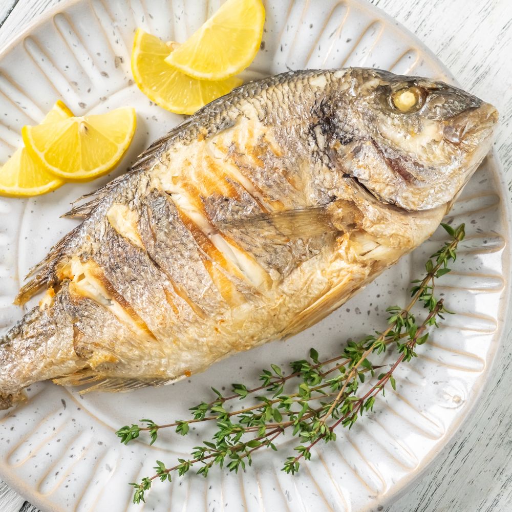 Dorader - Kystfisken