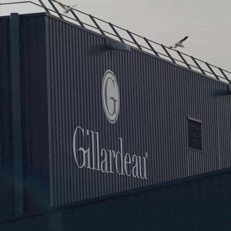 Gillardeau østers (Nytår)