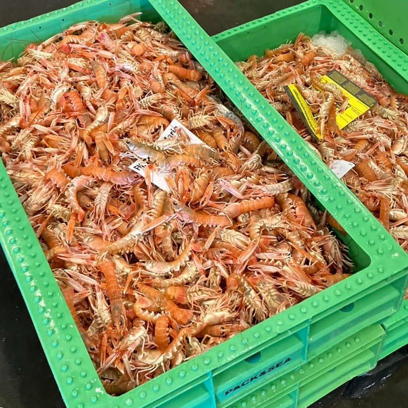 Ferske petit jomfruhummere (Nytår) - Kystfisken