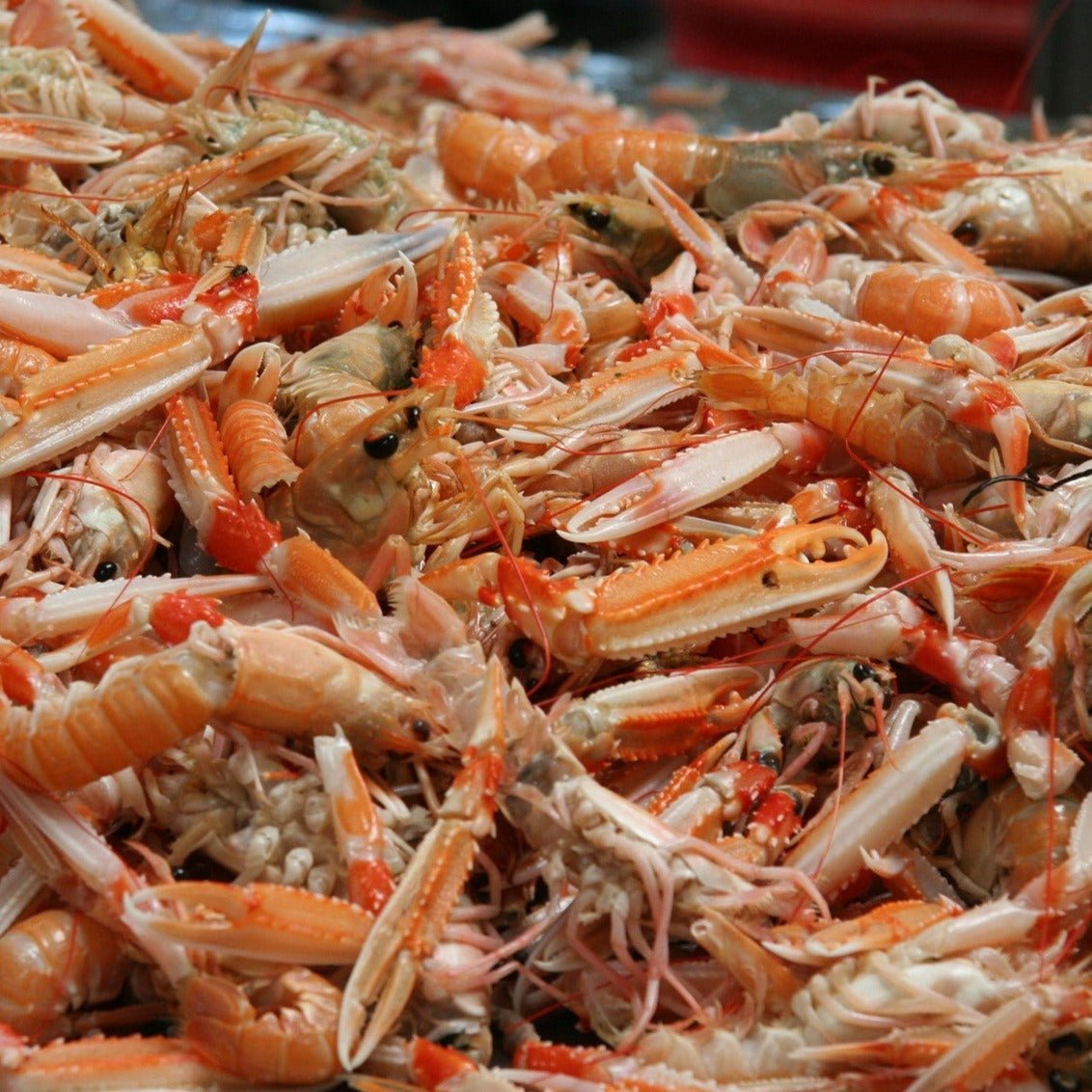 Ferske petit jomfruhummere (Nytår) - Kystfisken