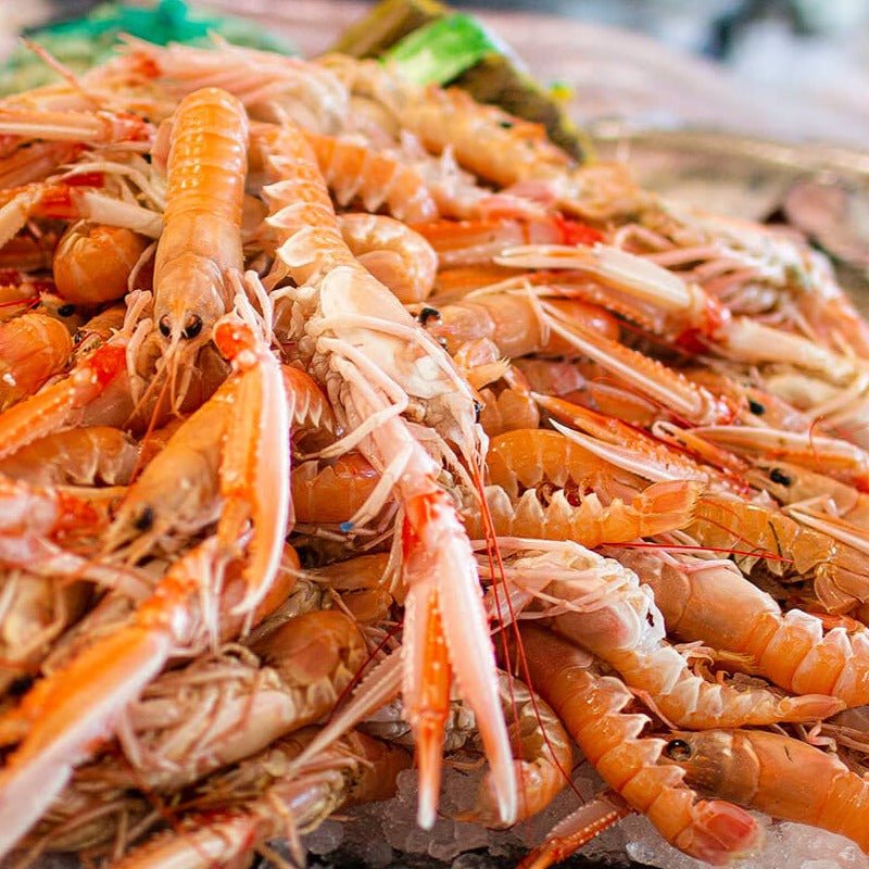 Friske danske jomfruhummere fra Strandby auktionen - Kystfisken