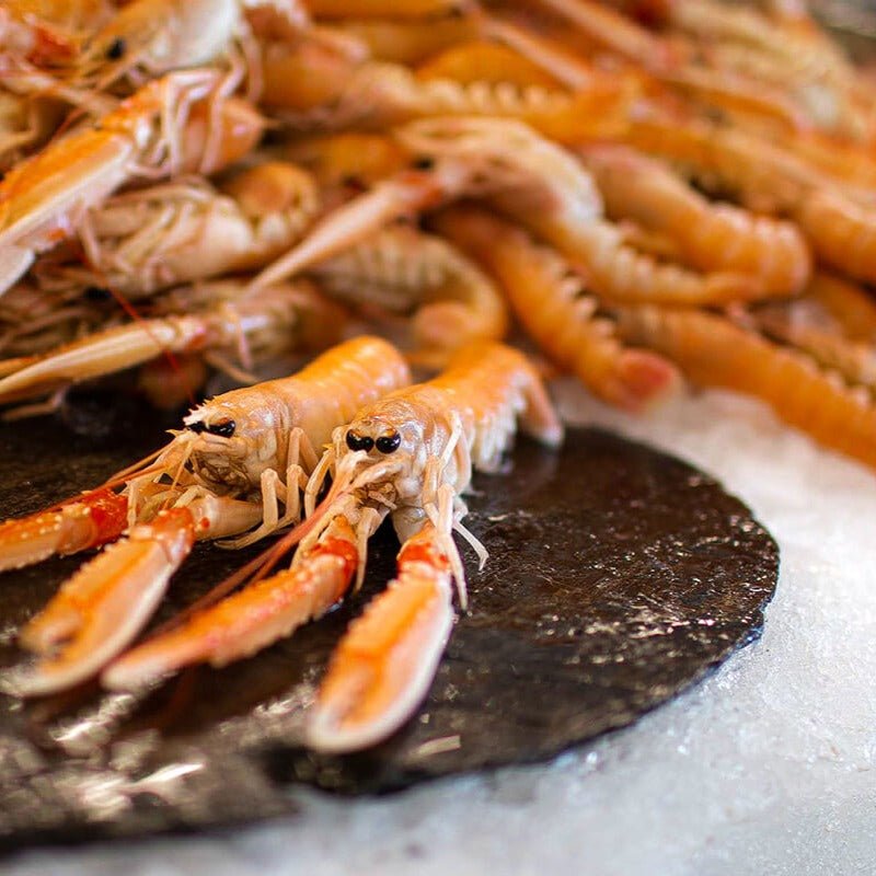 Friske danske jomfruhummere fra Strandby auktionen - Kystfisken