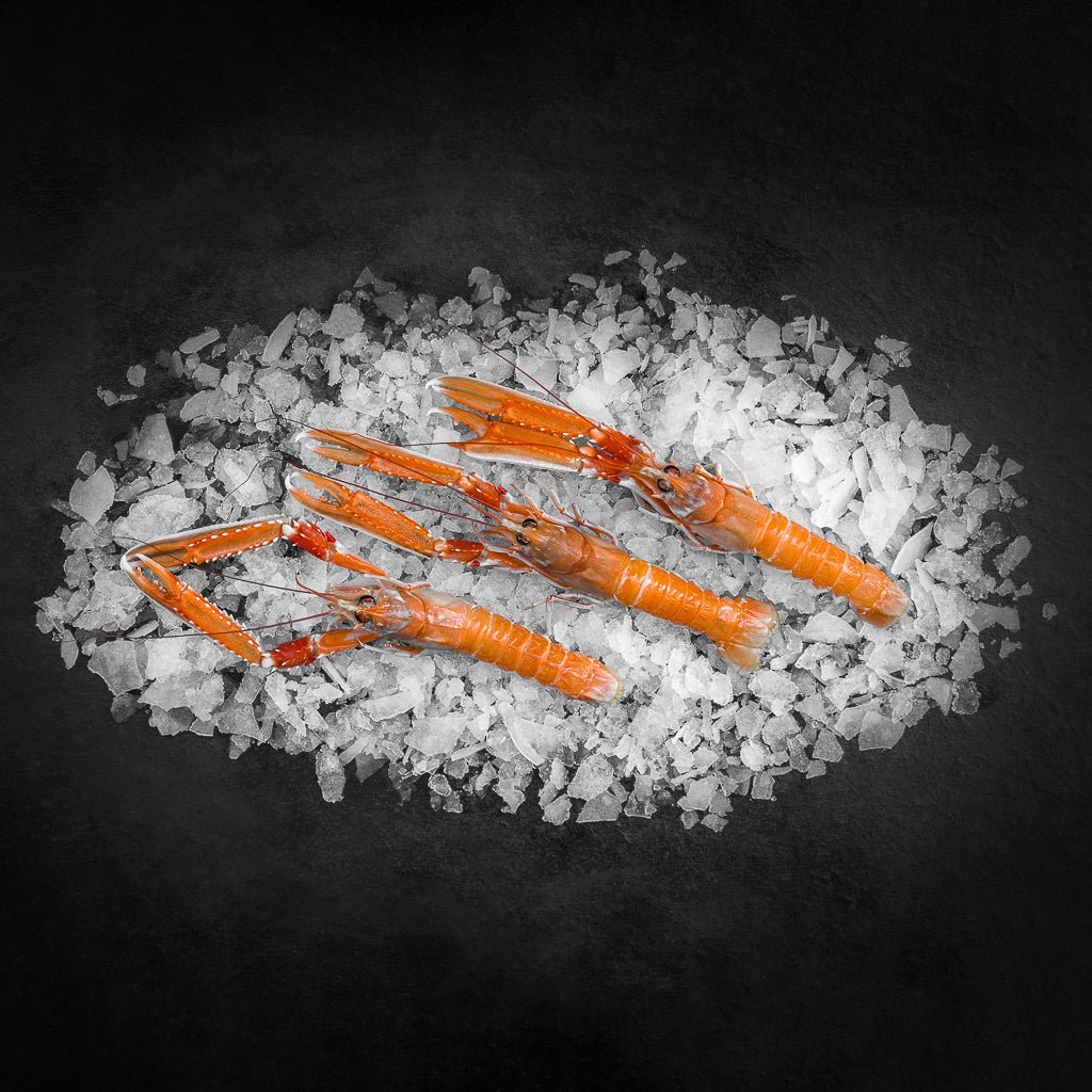 Friske danske jomfruhummere fra Strandby auktionen - Kystfisken