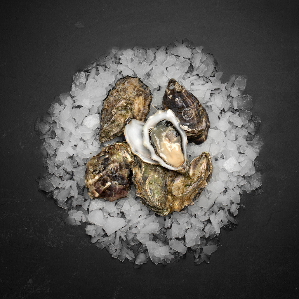 Gillardeau østers (Nytår) - Kystfisken