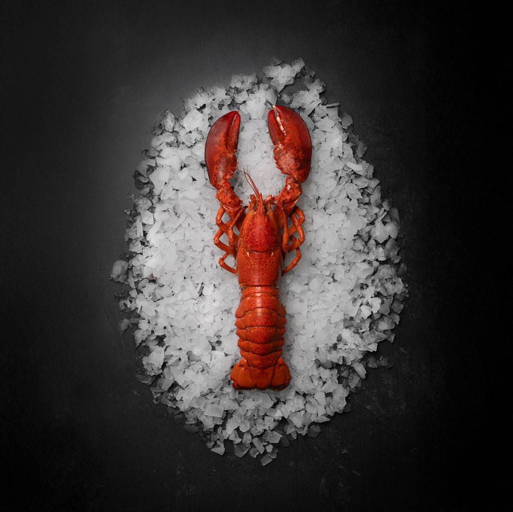 Hel kogt hummer 500 G. - Kystfisken