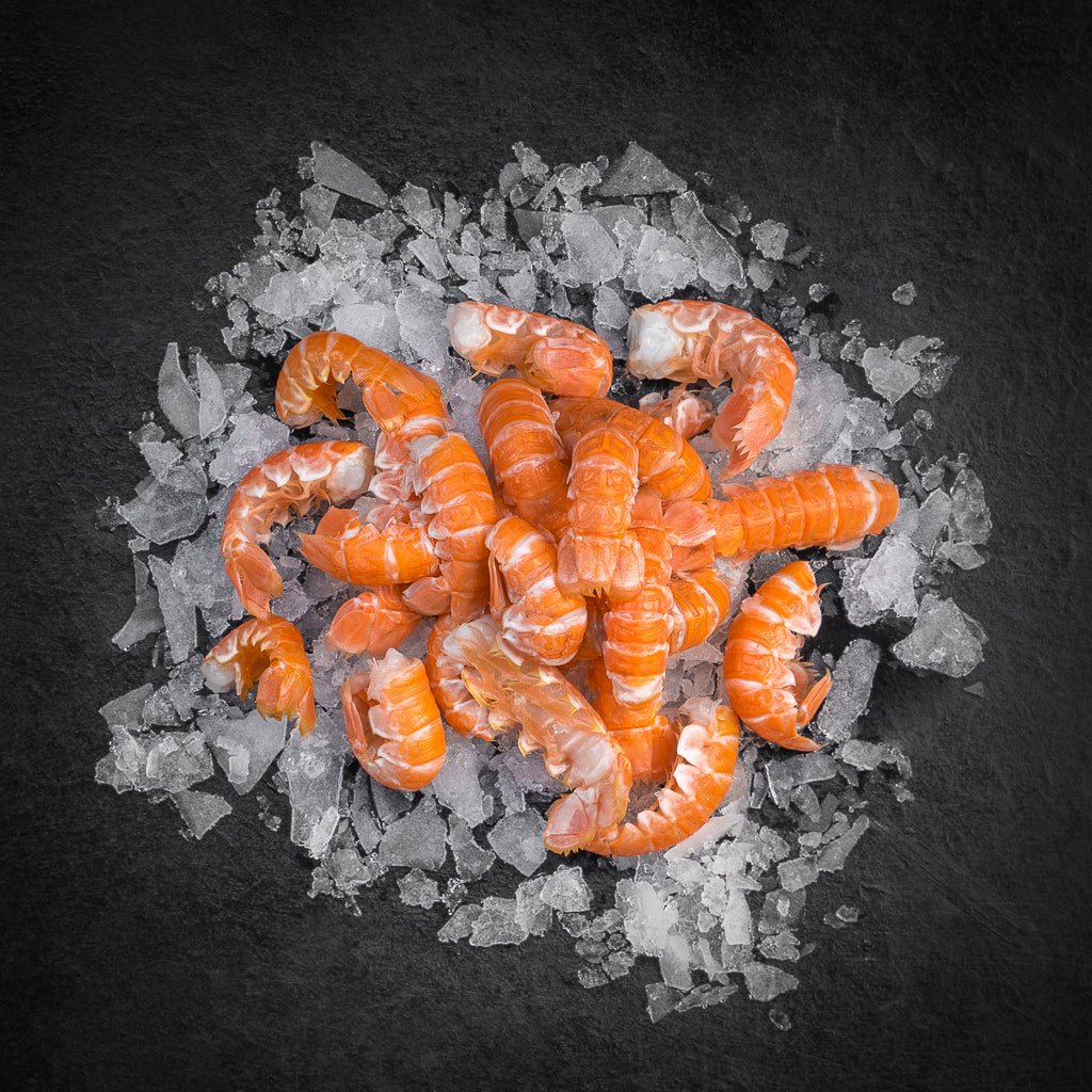 Jomfruhummerhaler - Kystfisken