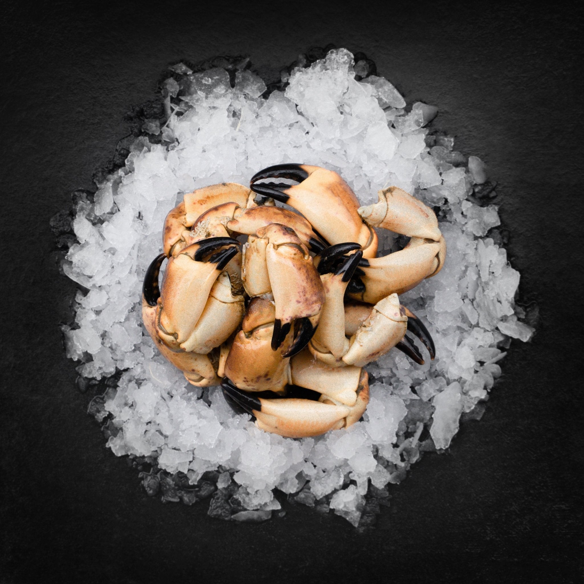 Krabbeklør (Normal str.) - 1000 G. - Kystfisken