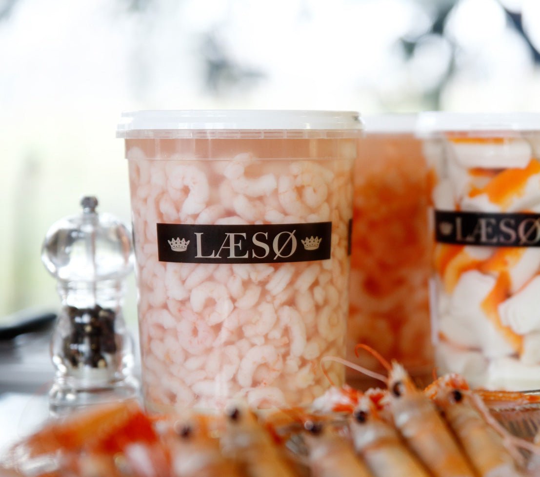 Læsø Koldtvandsrejer - Kystfisken