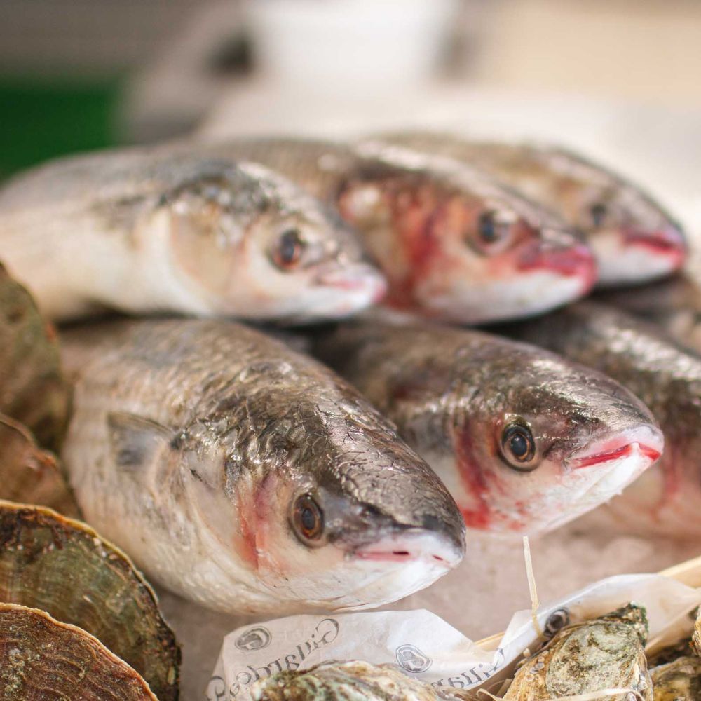 Nyhed: Dansk multefilet 🇩🇰 - Kystfisken