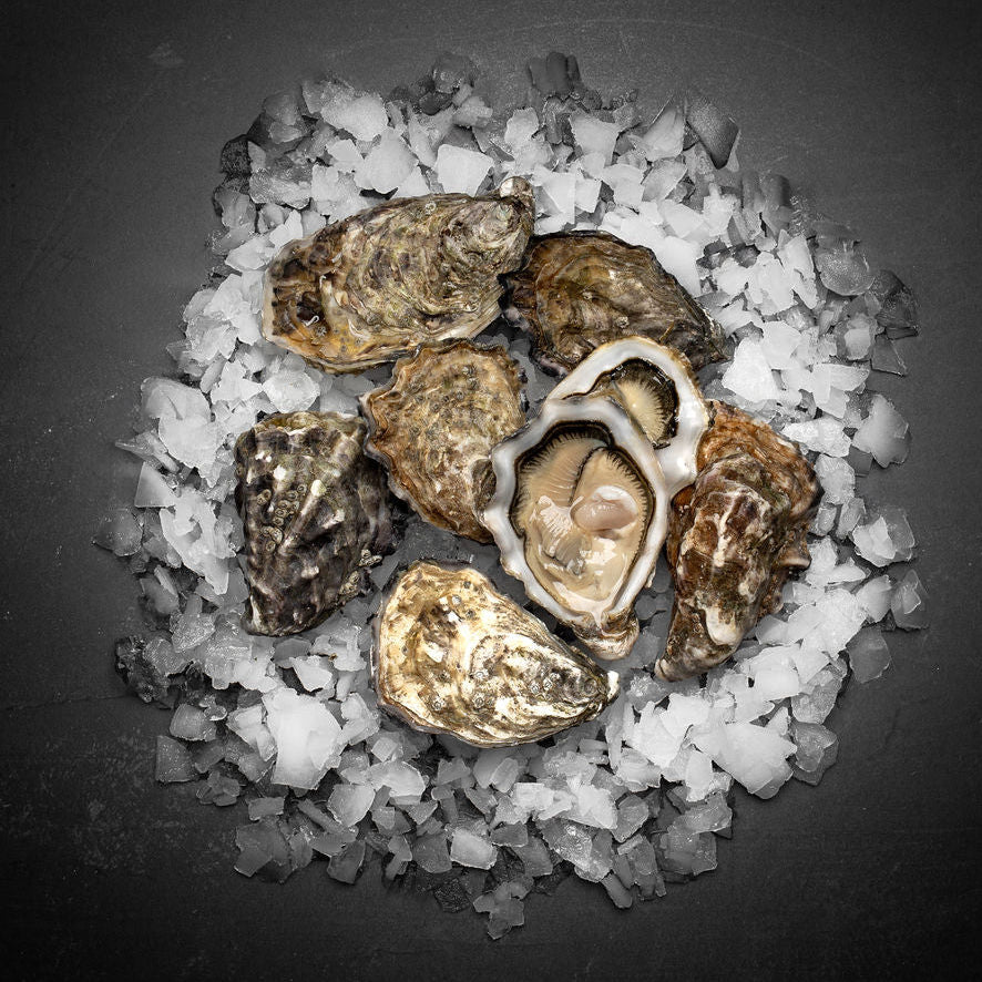 Perle Blance østers (Nytår) - Kystfisken