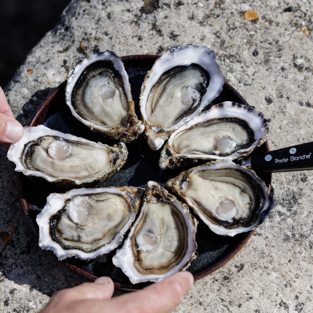 Perle Blanches østers (Nytår) - Kystfisken