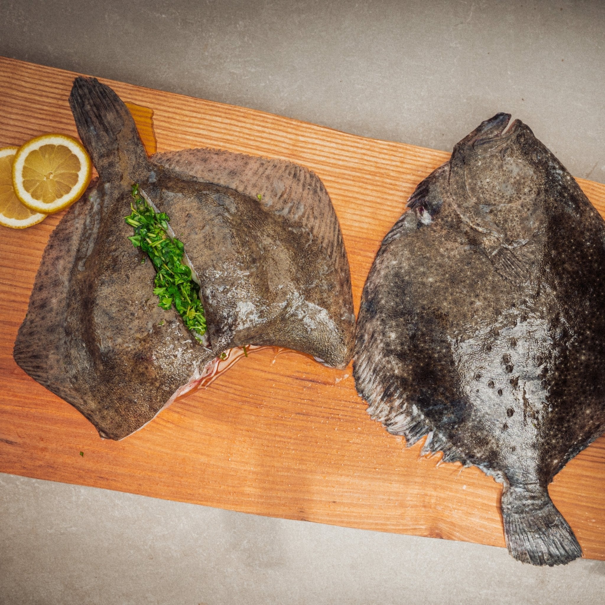 Pighvar hel - Kystfisken