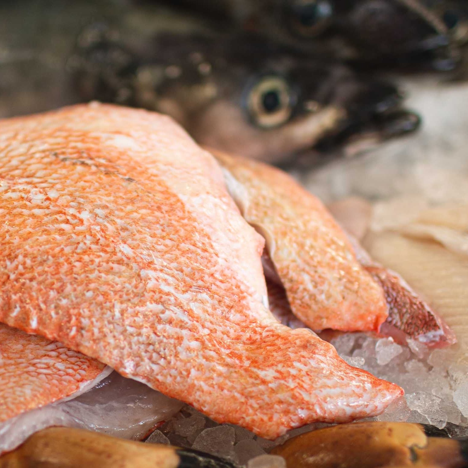 Rødfiskfilet m. skind. - Kystfisken