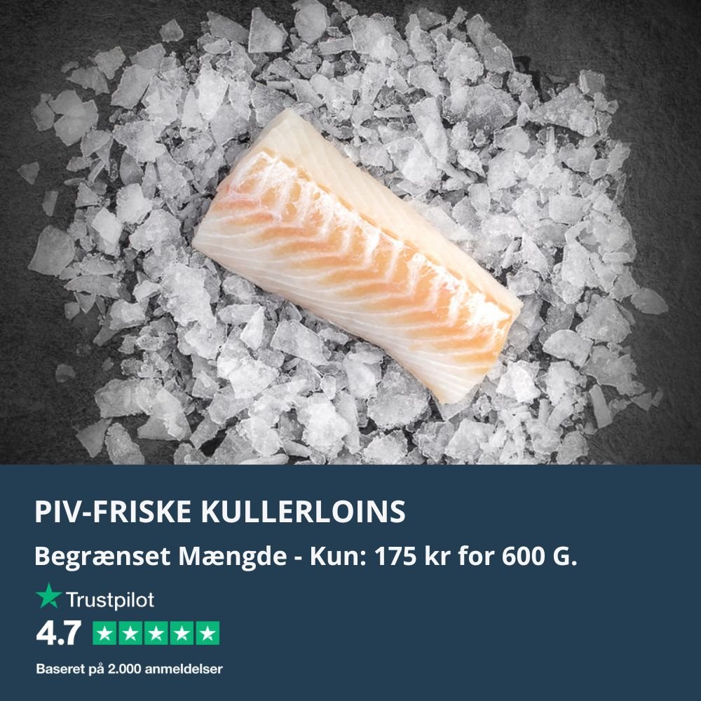 Skarp pris: Danske kullerloins 🇩🇰 - Kystfisken