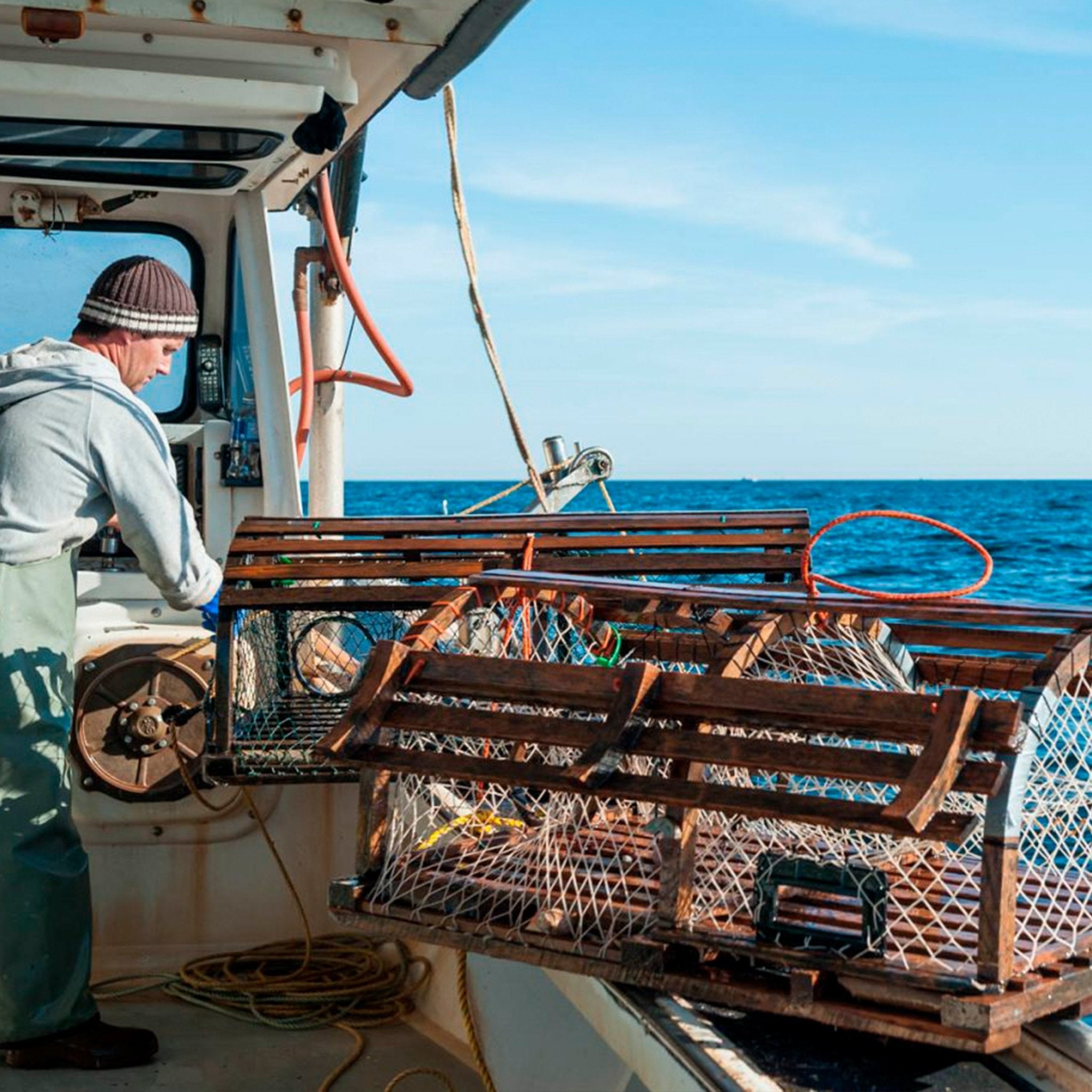 Hel kogt hummer 400 G. - Frys - 2