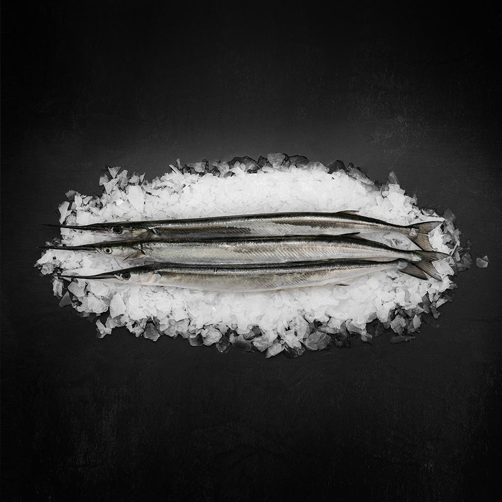Hornfisk hel - Kystfisken