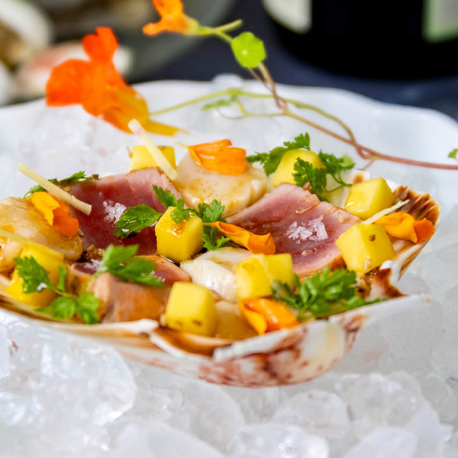 Mosaik af tun og kammusling