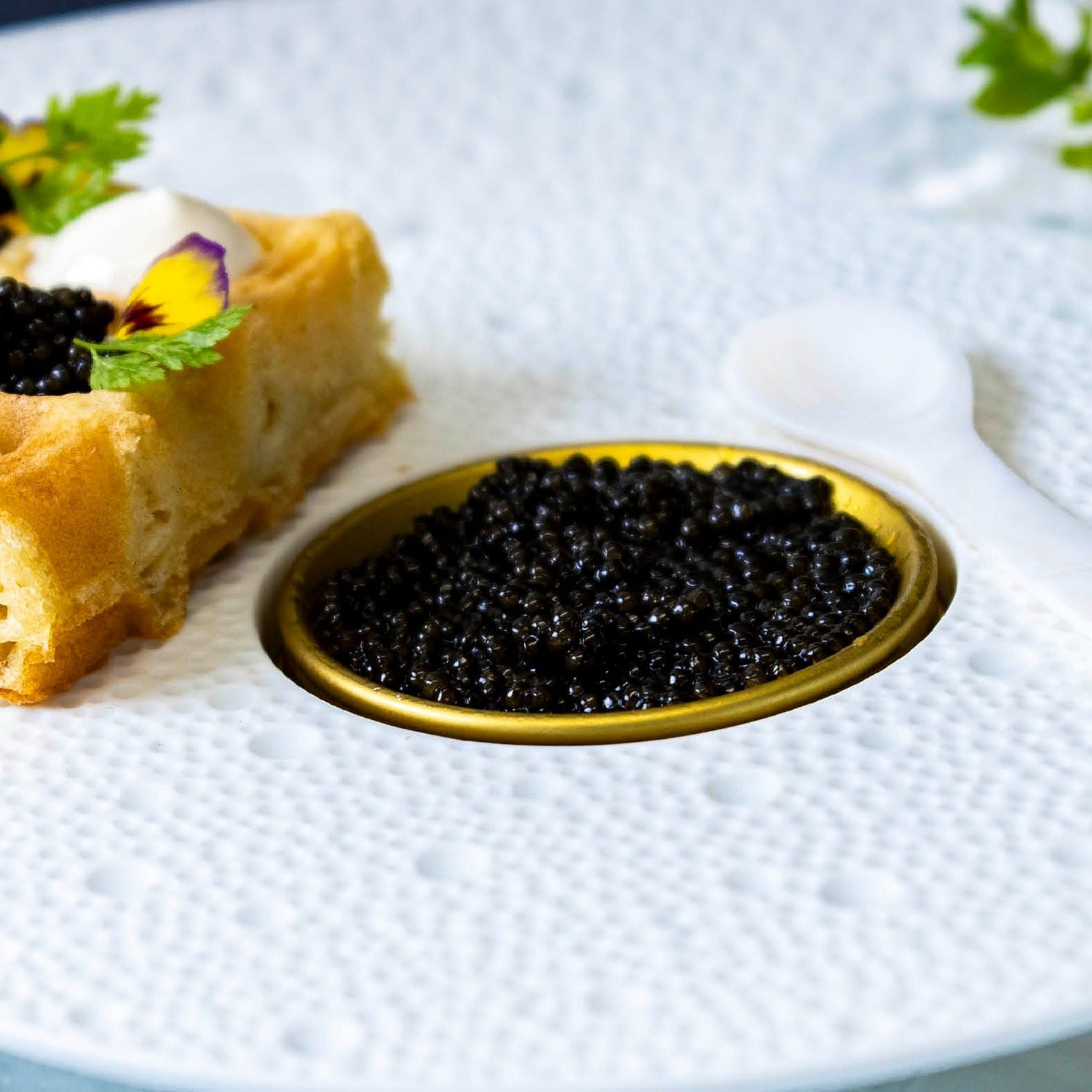 Caviar en suprise - Kystfisken