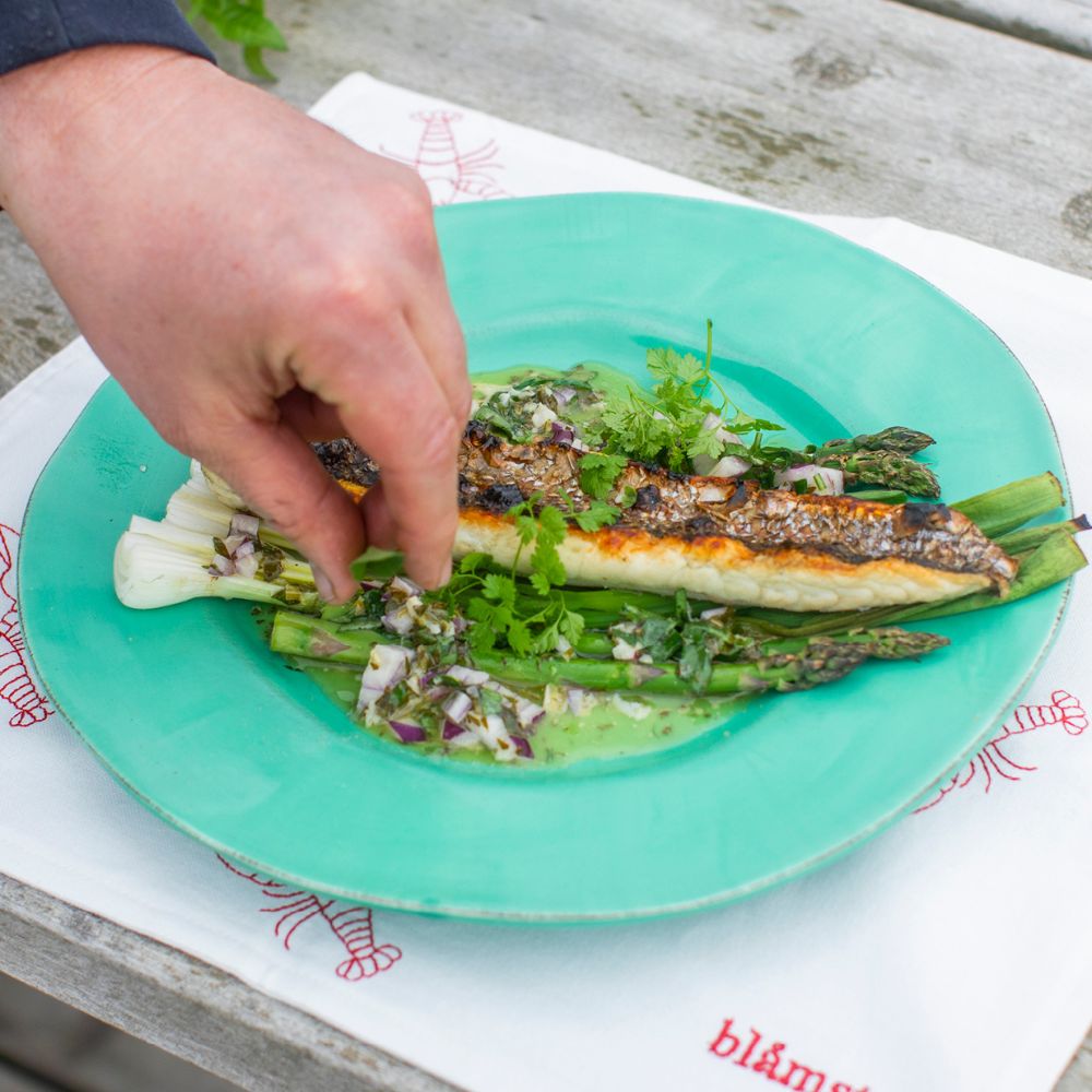 Grillet multe på springløg med grønne asparges og hyldeblomstvinaigrette - Kystfisken
