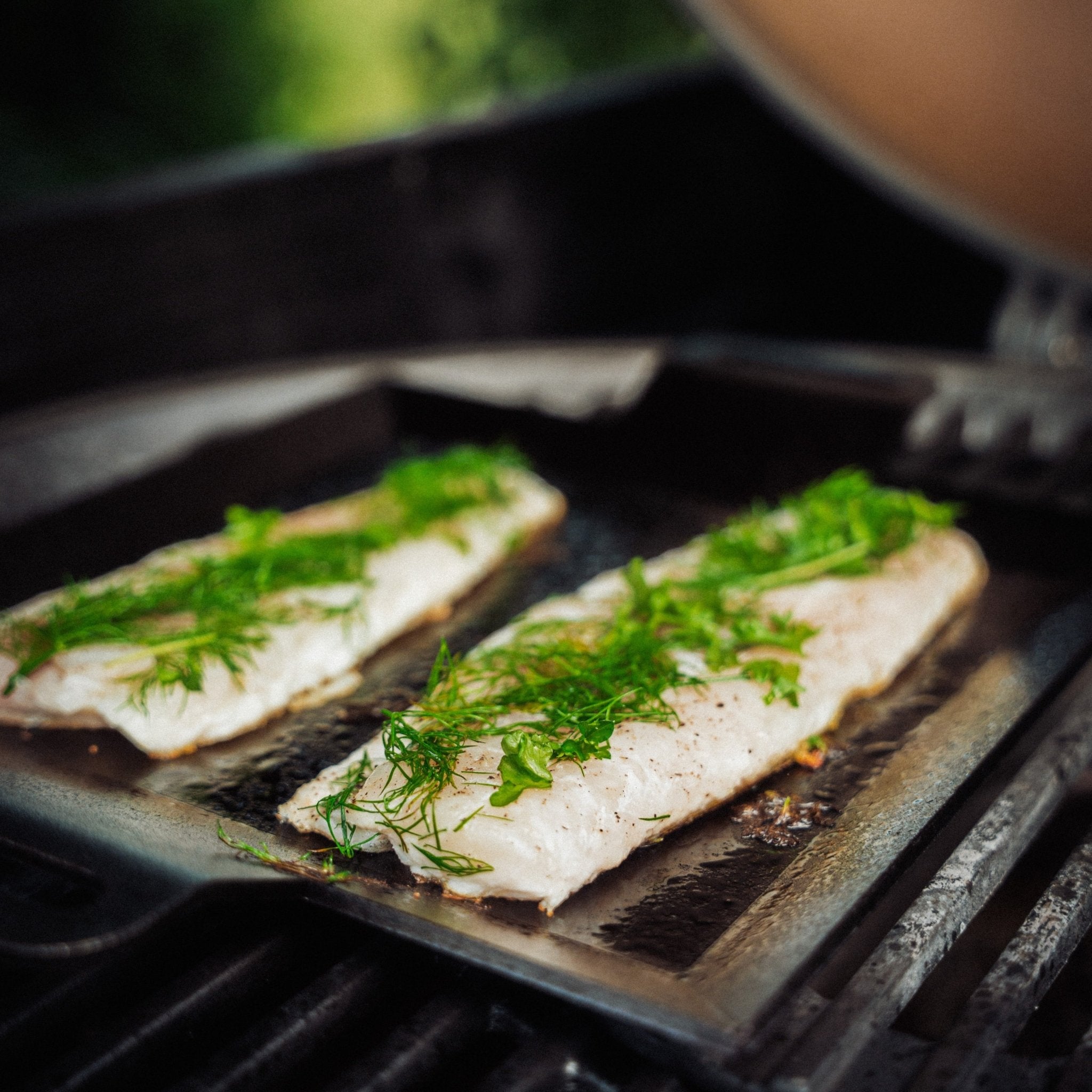 1 KG dansk kulmulefilet (Live) - Kystfisken