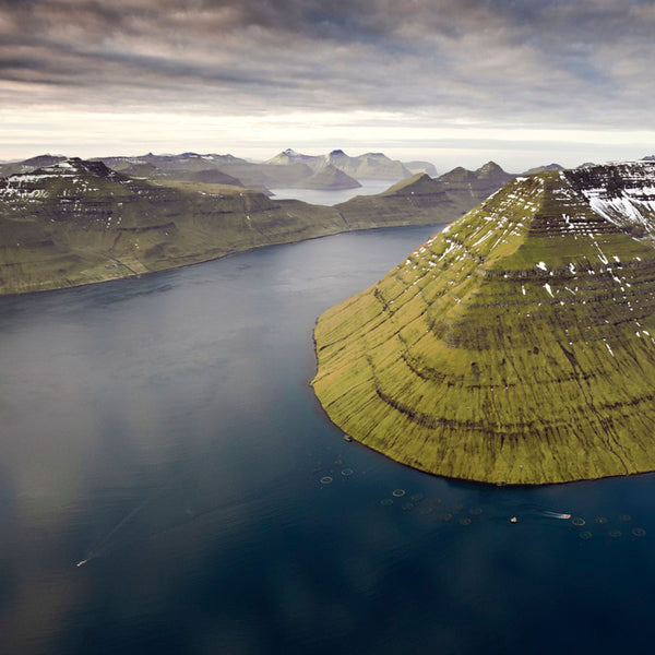 TILBUD: Færøsk Lakseside