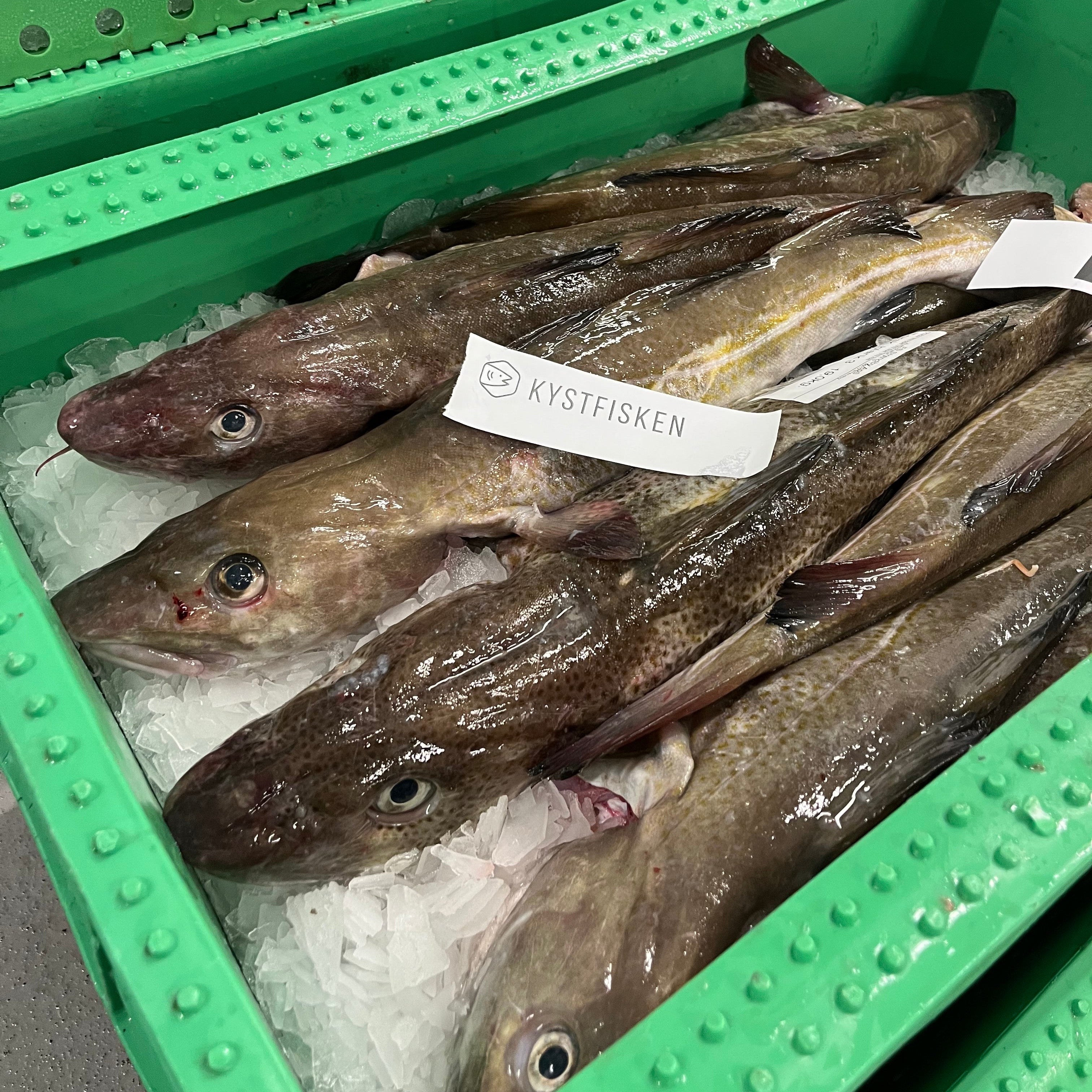 Håndskåret dansk torskefilet