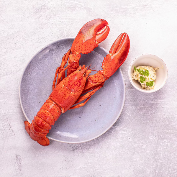 Gratineret hummer med citron og hvidløg (2 Personer)