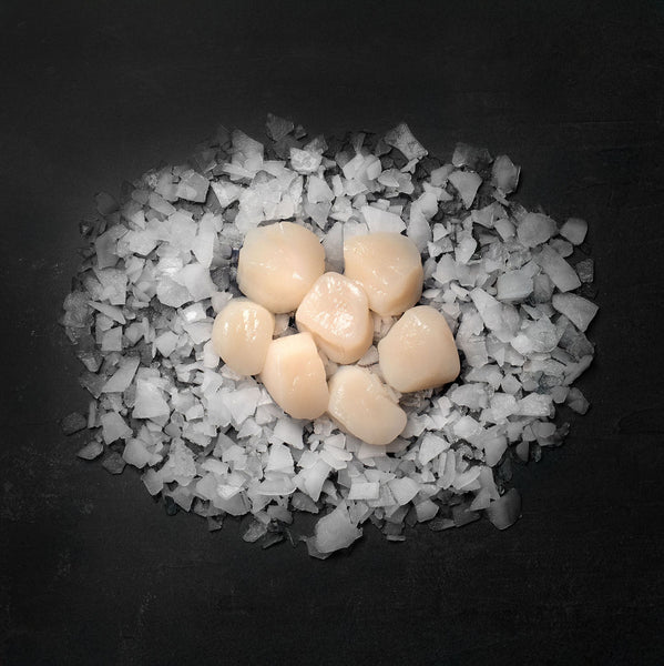 Premium Lavasten Grill - Dyb Gas Enhed til Røget Smag