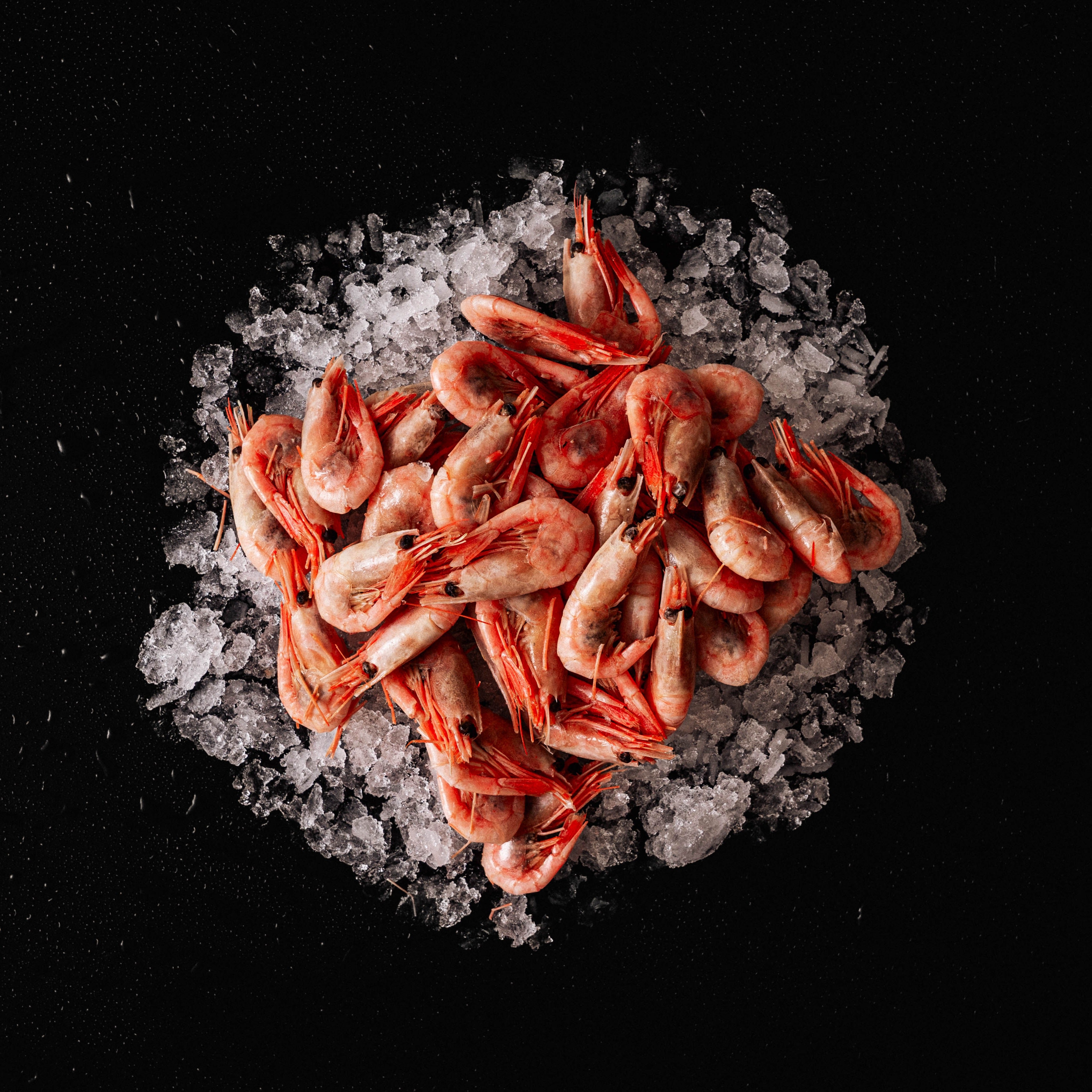 Klassisk Skaldyrsfad (Nytår)