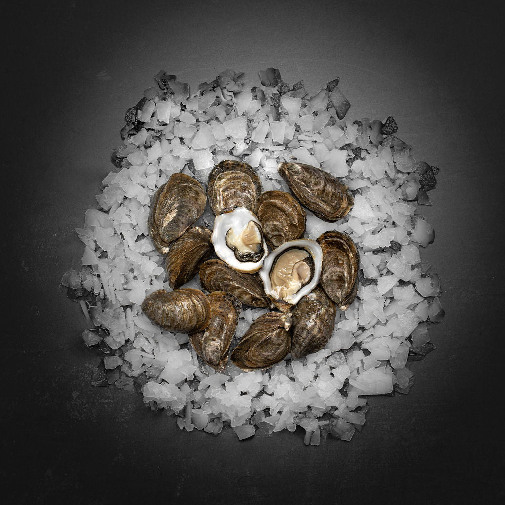 Baby Kys østers (Nytår) - Kystfisken