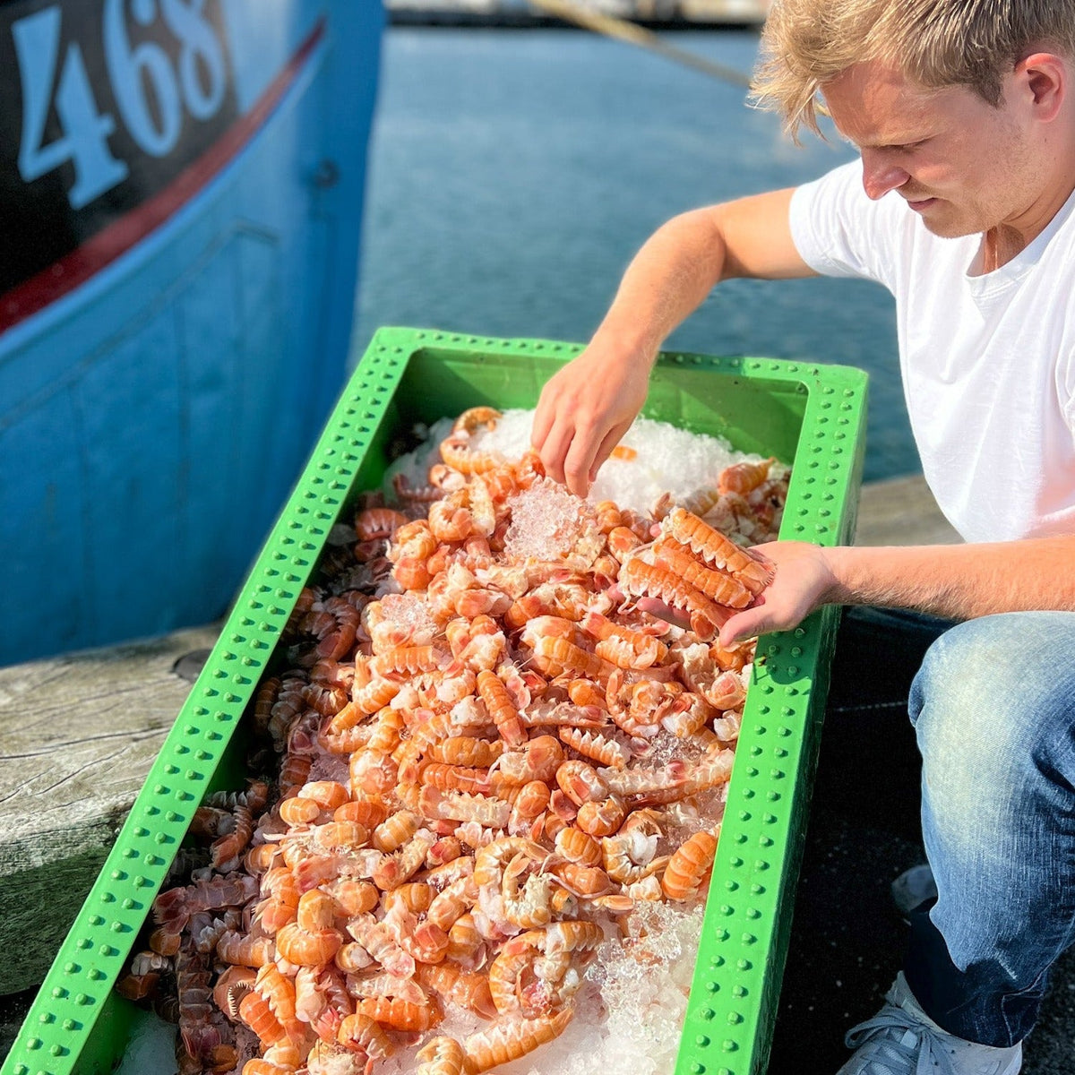 Jomfruhummerhaler | Hummerhaler i høj kvalitet Kystfisken. Se her!