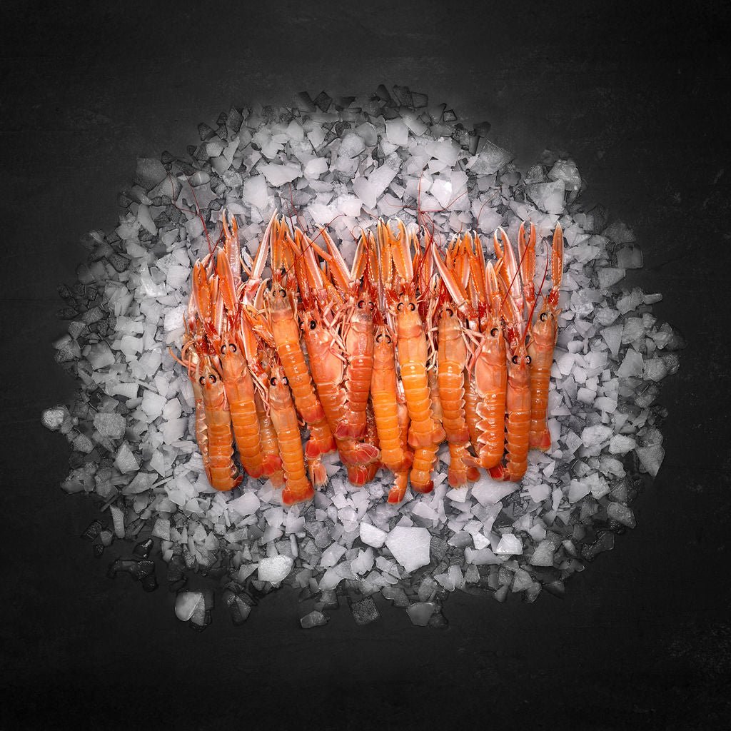 Ferske petit jomfruhummere (Nytår) - Kystfisken