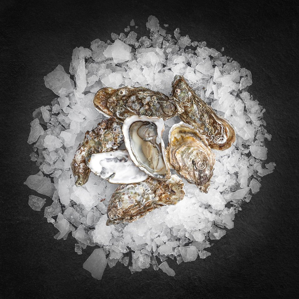 Fine De Claire østers - Kystfisken