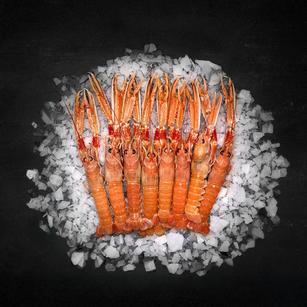 Friske danske jomfruhummere (Påske)