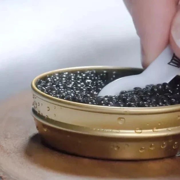 GASTRO Unika Caviar Tasting Box - Kystfisken