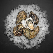 subcollection - Østers & Caviar